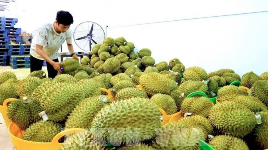 Agro-forestry-fisheries exports rise 8.3% over two months